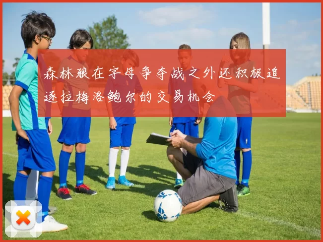 森林狼在字母争夺战之外还积极追逐拉梅洛鲍尔的交易机会